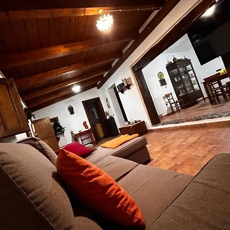 Cycas Holiday home Maratea