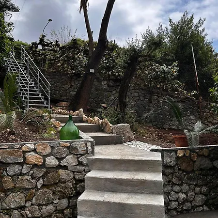Holiday home Cycas Maratea